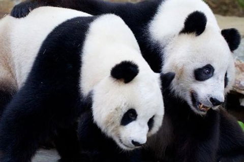 Adelaide City Tour With Optional River Cruise And Adelaide Zoo Admission - Accommodation in Brisbane 1