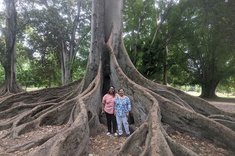 A Taste Of Adelaide And Hahndorf By Car Private Tour. - Accommodation in Brisbane 11