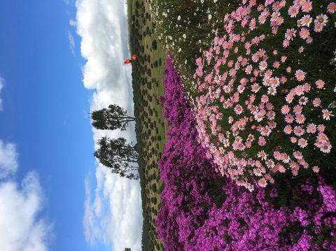 Small Group Gourmet Barossa Valley Day Trip From Adelaide - Accommodation in Brisbane 2