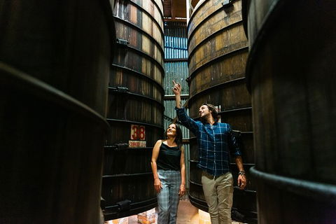 A Day Of Decadence At D'Arenberg - Accommodation in Brisbane 1