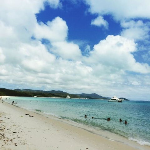 Whitehaven Beach Half-Day Cruises - Accommodation in Brisbane 11