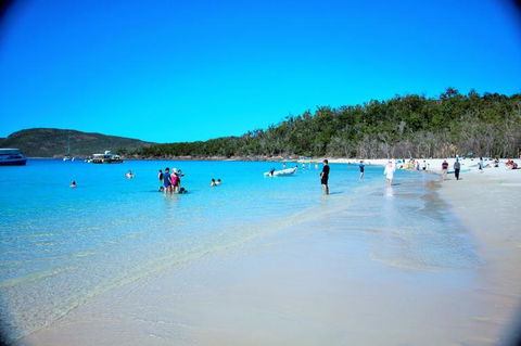 Whitehaven Beach Half-Day Cruises - Accommodation in Brisbane 9