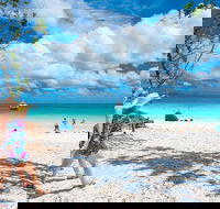 Whitehaven Beach Half-Day Cruises - Accommodation in Brisbane