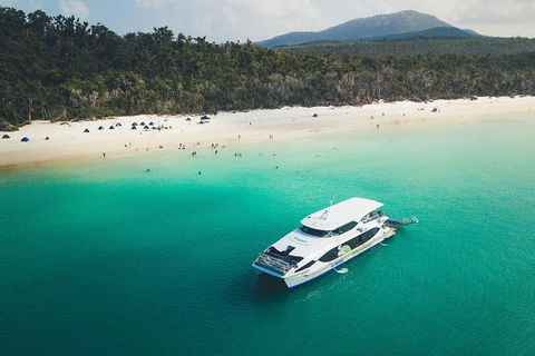 Whitehaven Beach Half-Day Cruises - Accommodation in Brisbane 15