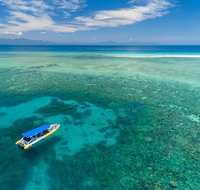 Ocean Safari Great Barrier Reef Experience in Cape Tribulation - Accommodation in Brisbane