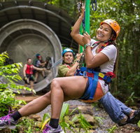 Cape Tribulation Jungle Surfing Canopy Tour - Accommodation in Brisbane