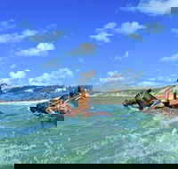 Horse Swimming Ride from Rainbow Beach - Accommodation in Brisbane