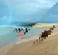 Rainbow Beach Horse Ride - Accommodation in Brisbane