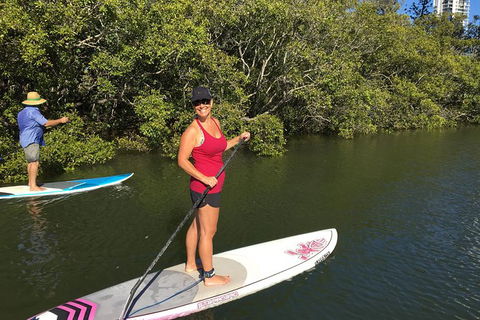 Stand Up Paddle Hire - Accommodation in Brisbane 4