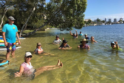 Stand Up Paddle Hire - Accommodation in Brisbane 3