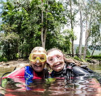 Rainforest Platypus Night Dive Certified Divers Only once day dive completed - Accommodation in Brisbane