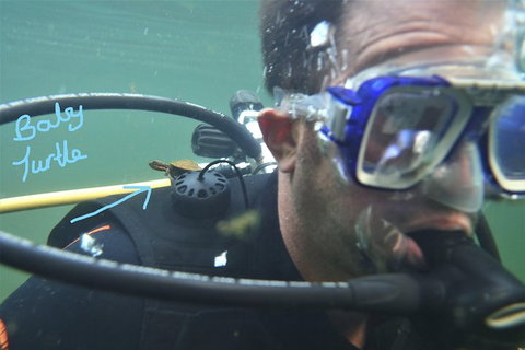Rainforest Platypus Night Dive (Certified Divers Only Once Day Dive Completed) - Accommodation in Brisbane 4