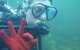 Rainforest Platypus Night Dive (Certified Divers Only Once Day Dive Completed) - thumb 5