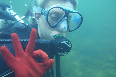 Rainforest Platypus Night Dive (Certified Divers Only Once Day Dive Completed) - Accommodation in Brisbane 5