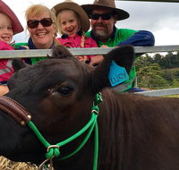 Mackay's Day in the Clouds Paddock to Plate Tour - Accommodation in Brisbane