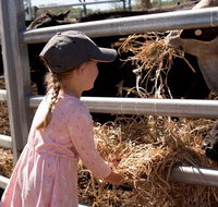 Mackay Farm Food and Flavours Tour - Accommodation in Brisbane