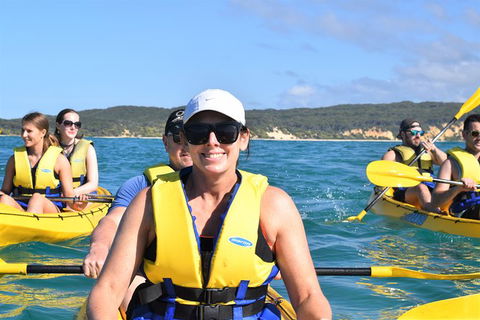Half-Day Kayak With Dolphins And 4WD Beach Drive From Rainbow Beach - Accommodation in Brisbane 4