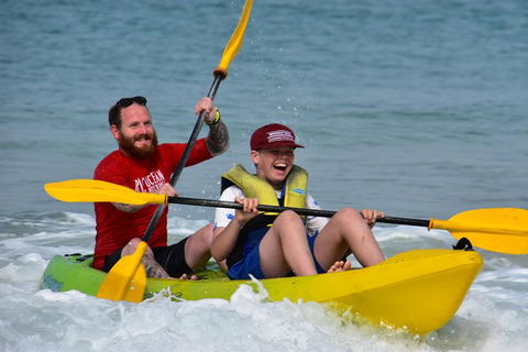 Half-Day Kayak With Dolphins And 4WD Beach Drive From Rainbow Beach - Accommodation in Brisbane 8