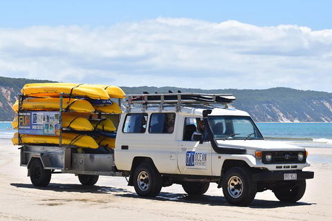 Half-Day Kayak With Dolphins And 4WD Beach Drive From Rainbow Beach - Accommodation in Brisbane 13