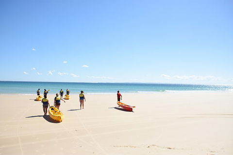 Half-Day Kayak With Dolphins And 4WD Beach Drive From Rainbow Beach - Accommodation in Brisbane 10