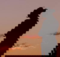 Townsville and the Australian Army Walking History Tour with Optional City Sightseeing - Accommodation in Brisbane