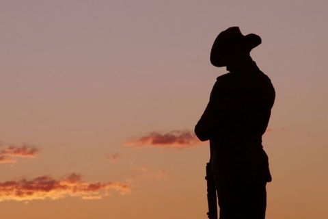 Townsville And The Australian Army: Walking History Tour With Optional City Sightseeing - Accommodation in Brisbane 0