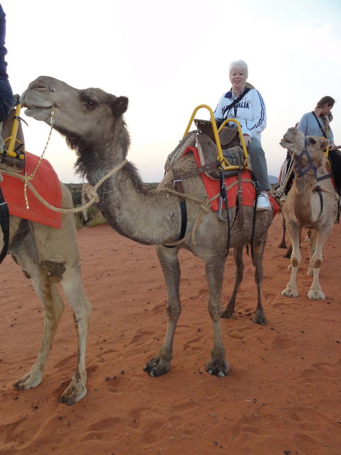 Uluru Small-Group Tour By Camel At Sunrise Or Sunset - Accommodation in Brisbane 2
