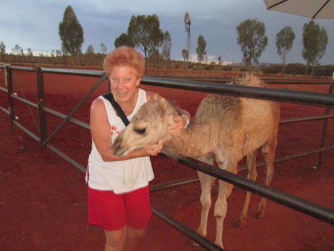Uluru Small-Group Tour By Camel At Sunrise Or Sunset - Accommodation in Brisbane 18