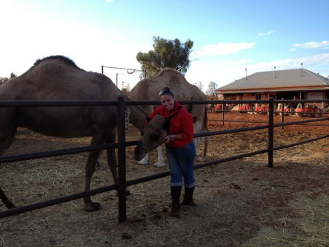 Uluru Small-Group Tour By Camel At Sunrise Or Sunset - Accommodation in Brisbane 21