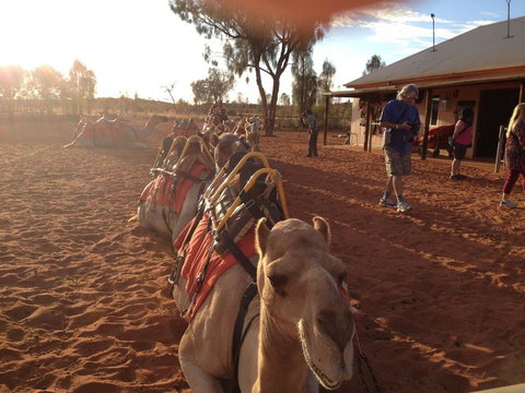 Uluru Small-Group Tour By Camel At Sunrise Or Sunset - Accommodation in Brisbane 22