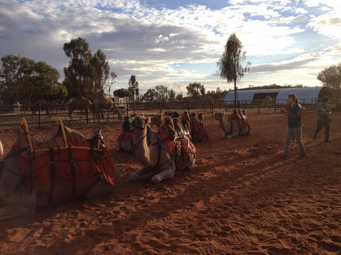 Uluru Small-Group Tour By Camel At Sunrise Or Sunset - Accommodation in Brisbane 23