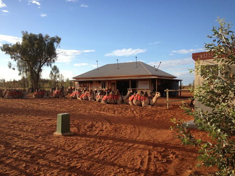 Uluru Small-Group Tour By Camel At Sunrise Or Sunset - Accommodation in Brisbane 20