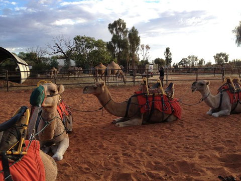 Uluru Small-Group Tour By Camel At Sunrise Or Sunset - Accommodation in Brisbane 24