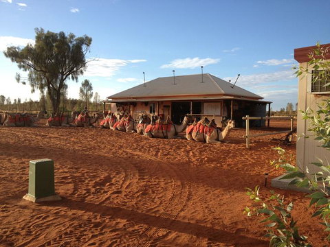 Uluru Small-Group Tour By Camel At Sunrise Or Sunset - Accommodation in Brisbane 19