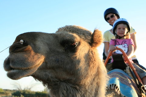 Uluru Small-Group Tour By Camel At Sunrise Or Sunset - Accommodation in Brisbane 3