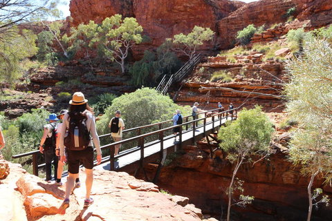 Kings Canyon Day Trip From Ayers Rock - Accommodation in Brisbane 19