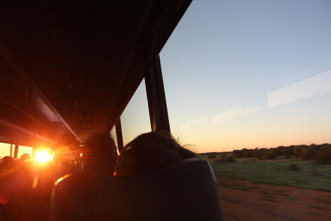 Kings Canyon Day Trip From Ayers Rock - Accommodation in Brisbane 22