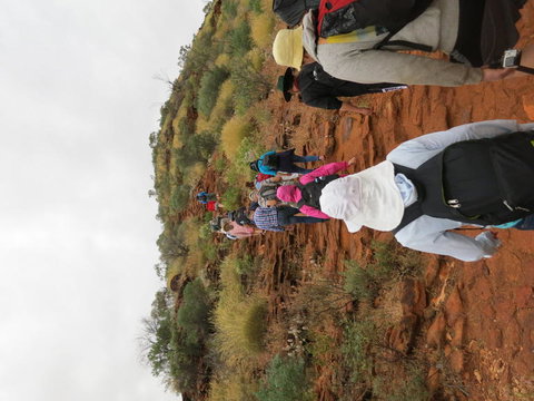 Kings Canyon Day Trip From Ayers Rock - Accommodation in Brisbane 14