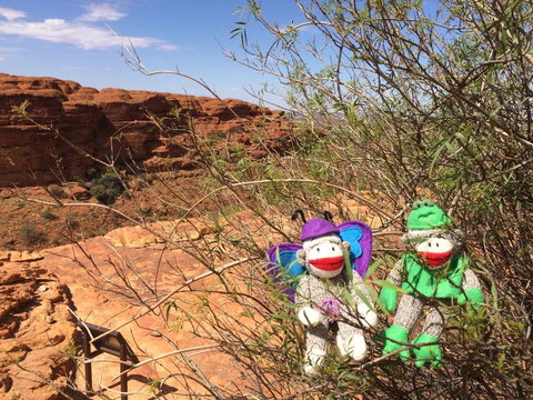 Kings Canyon Day Trip From Ayers Rock - Accommodation in Brisbane 23