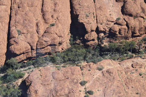Kings Canyon Day Trip From Ayers Rock - Accommodation in Brisbane 5