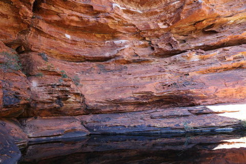 Kings Canyon Day Trip From Ayers Rock - Accommodation in Brisbane 16