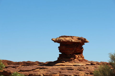 Kings Canyon Day Trip From Ayers Rock - Accommodation in Brisbane 17
