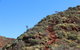 Kings Canyon Day Trip From Ayers Rock - thumb 21