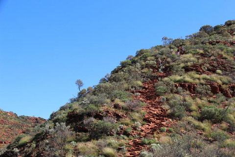 Kings Canyon Day Trip From Ayers Rock - Accommodation in Brisbane 21
