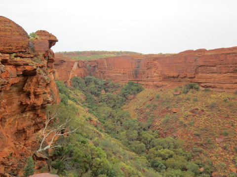 Kings Canyon Day Trip From Ayers Rock - Accommodation in Brisbane 13