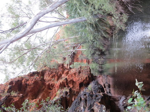 Kings Canyon Day Trip From Ayers Rock - Accommodation in Brisbane 11