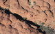Kings Canyon Day Trip From Ayers Rock - thumb 4