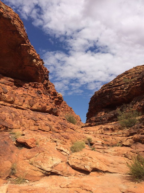 Kings Canyon Day Trip From Ayers Rock - Accommodation in Brisbane 25