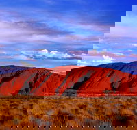 Uluru and Kata Tjuta Experience with BBQ Dinner - Accommodation in Brisbane