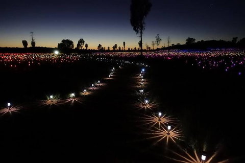 Uluru Field Of Light Sunrise Tour - Accommodation in Brisbane 2